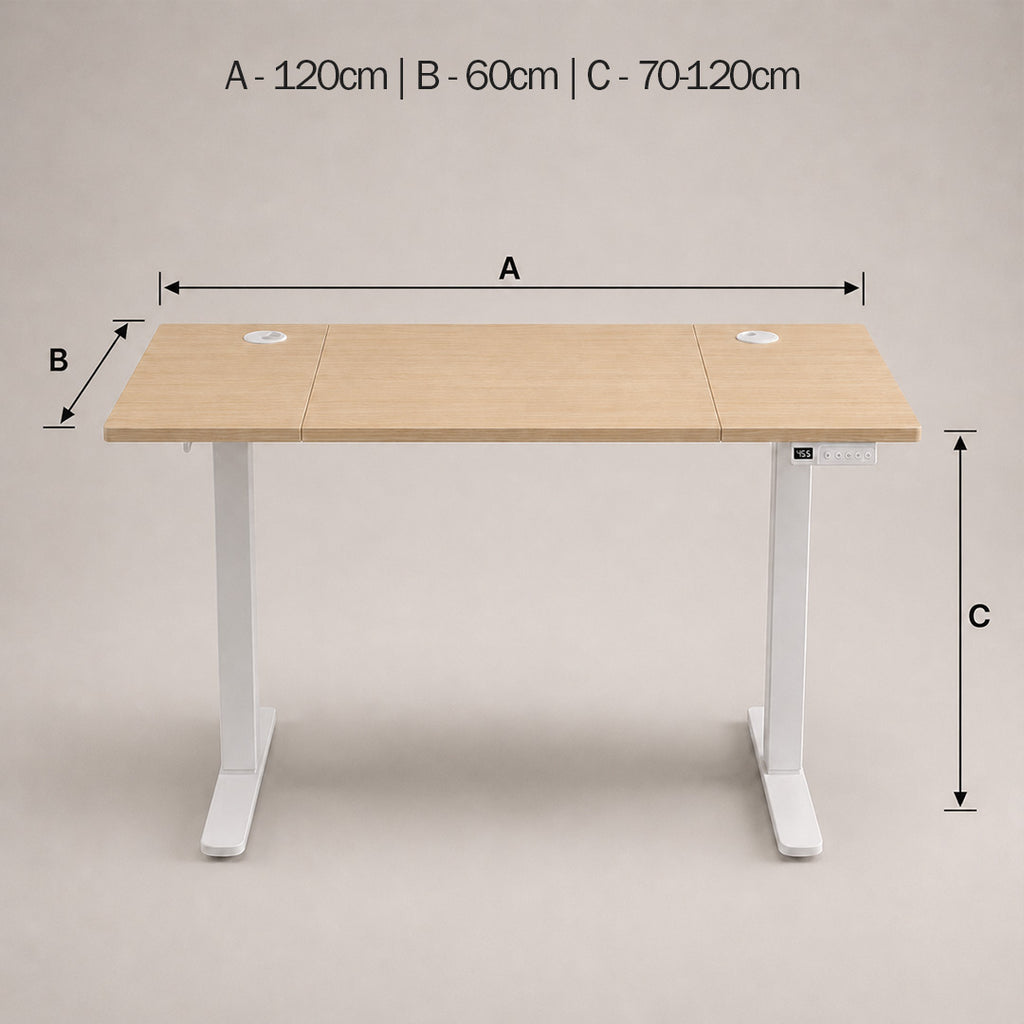 Electric Height Adjustable Table